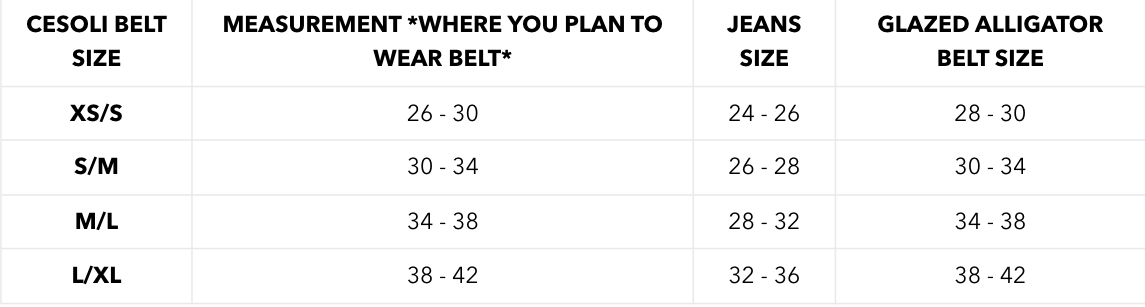 Bethany Blue / Reversible Leather Belt in Minuit Black - Image 4