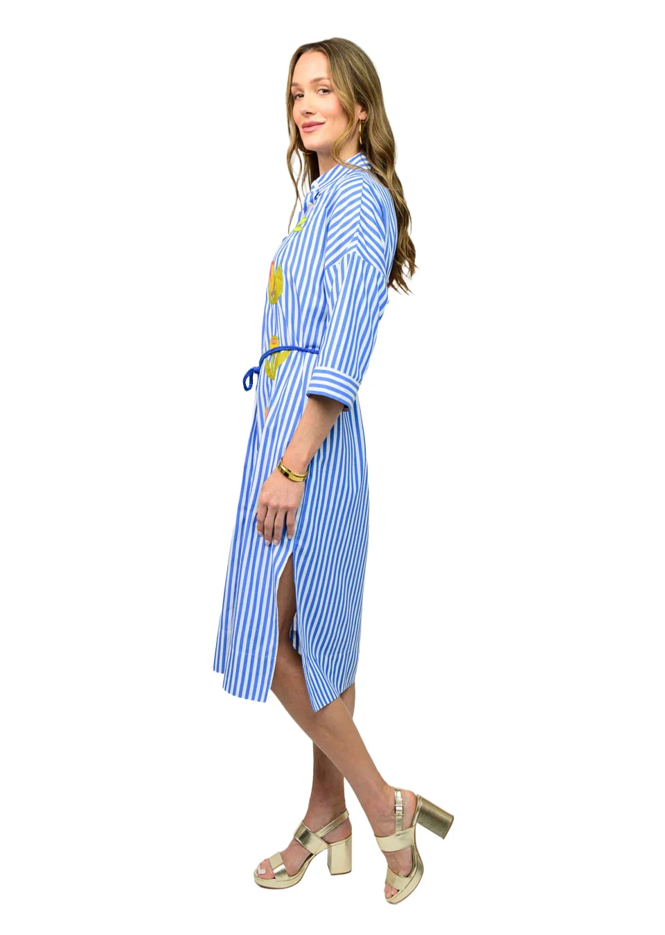 Joan Dress in Stripe - Image 3