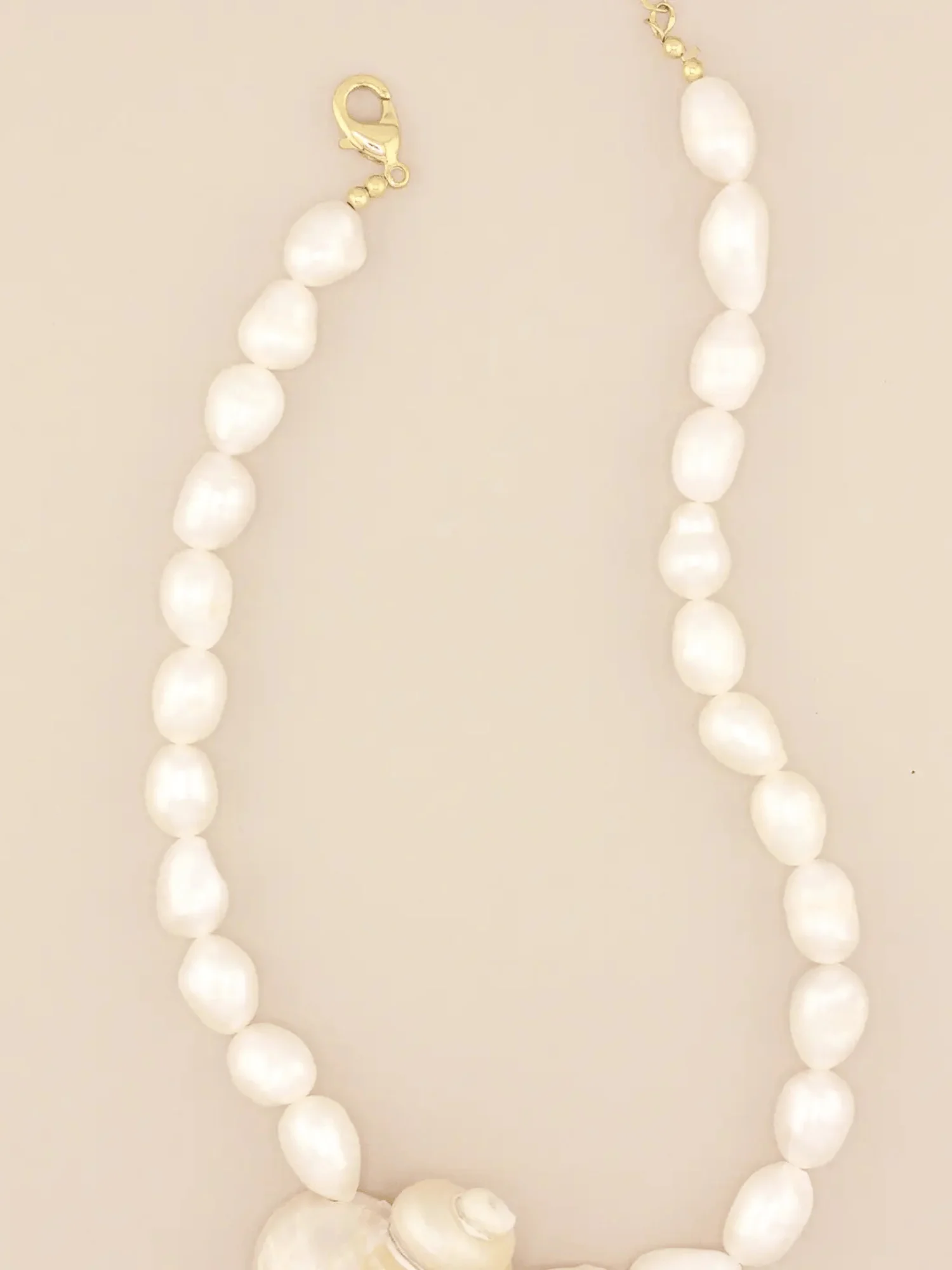 Jumbo Turbo Shell Necklace - Image 3