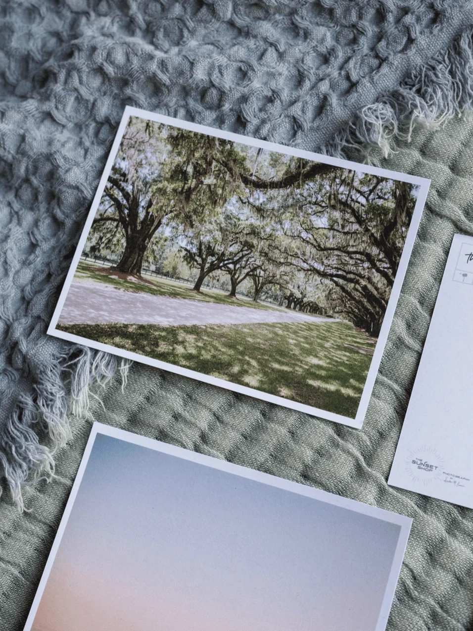 Oak Avenue Postcard